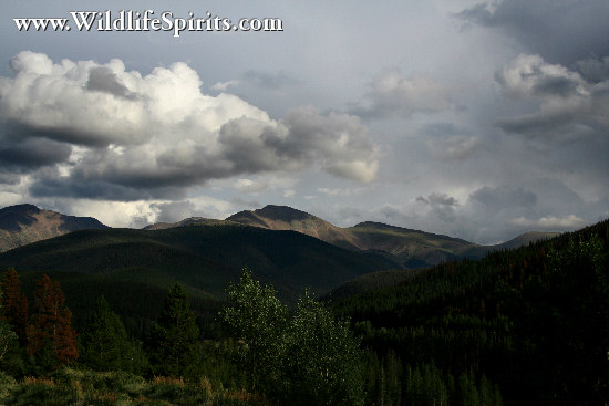 Click Picture to send as an  E-PostCard 65k 550x367